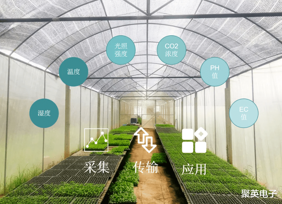 智慧农业监控系统,节省2/3人力,提升农业生产力