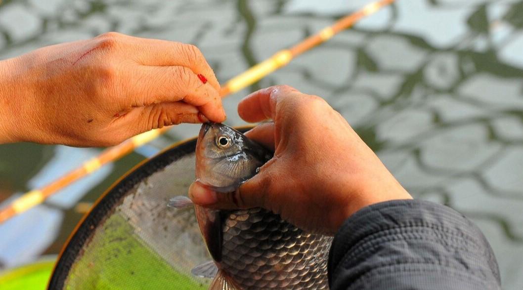 运动|不同阶段的钓鱼人,一年钓鱼的花销对比