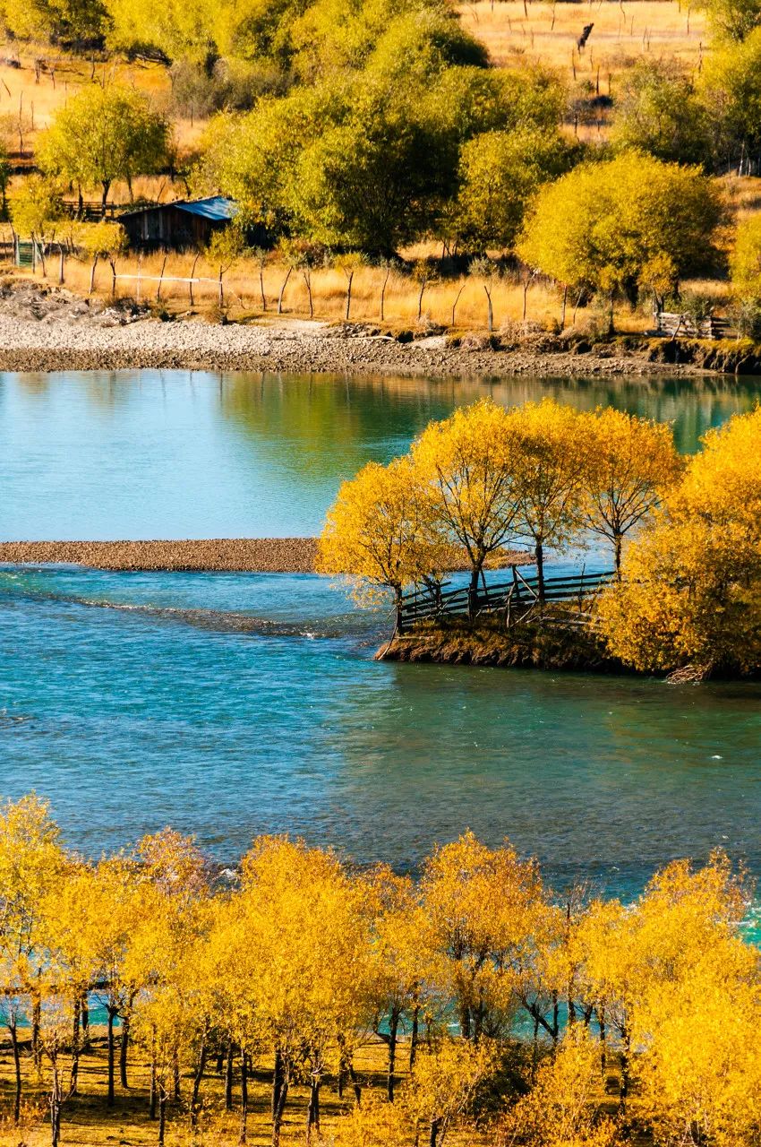 胡杨林|中国十大最美秋色,哪个是你心中的no.1?