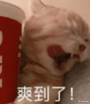 钟祺|演技惨遭群嘲，他真有那么差？