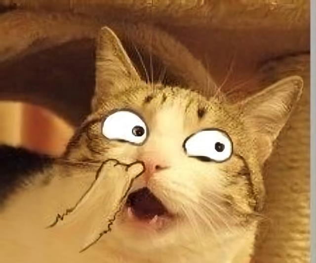 招聘|九五后打工现状：不跟老板共情，懒得搞同事关系，等着公司解雇