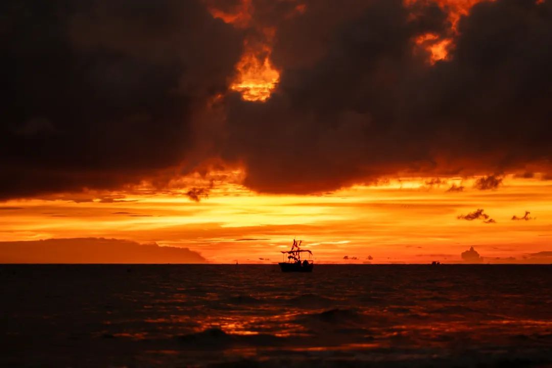 甘南|就没见过哪个过气网红,还能好看成这样的