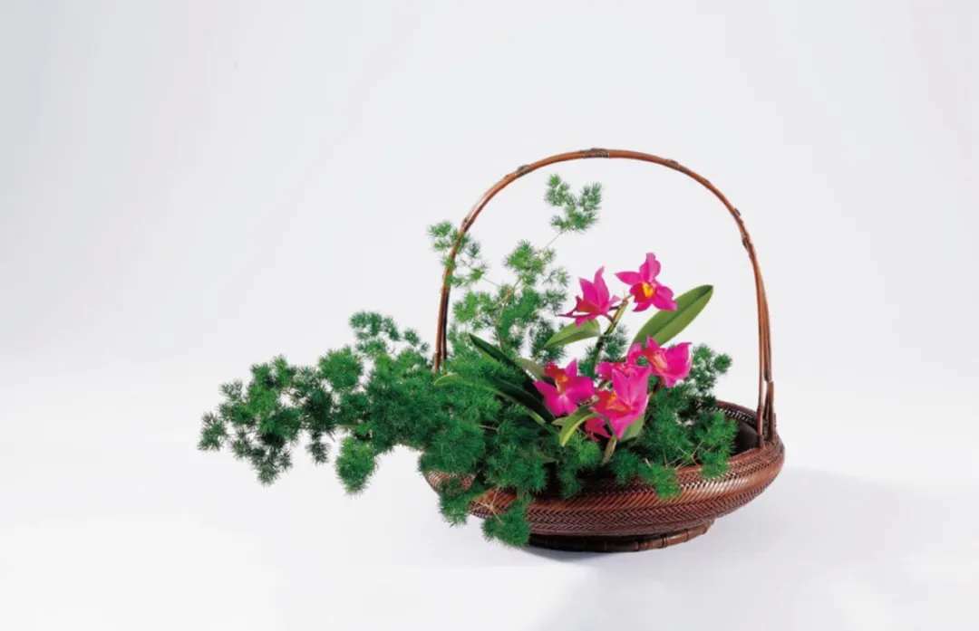 “插花”和“服装陈列”共有的一个规则:三角构图