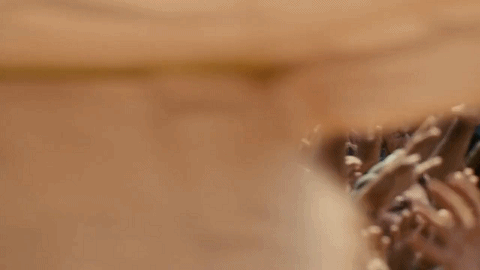 潘长江|暴力、血腥、尺度，这部“野蛮之作”太震撼！