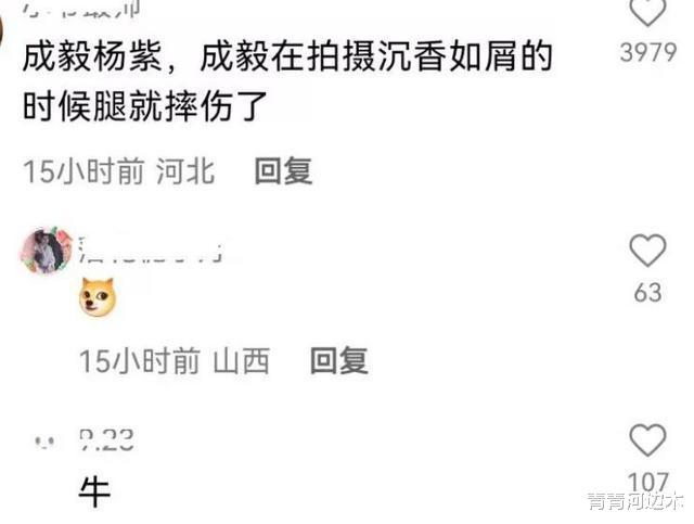 杨紫|刘大锤爆粉千万级的爱情演员，靠的就是顶流小花杨紫成衣的推测