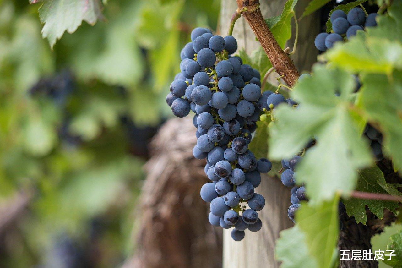 购房置业|男友说:他绝不做房奴,要一辈子租房子!我考虑了几天,只能再见