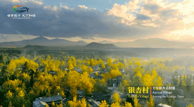 腾冲|年度最佳22℃暖冬小城！全国唯一半城银杏，半城温泉！现在来刚好