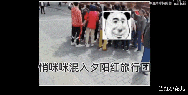 杨紫|杨紫,可歇会吧