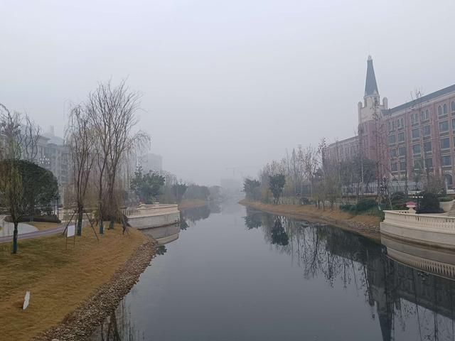 |元旦三天活动结束，标鱼依旧不见踪影