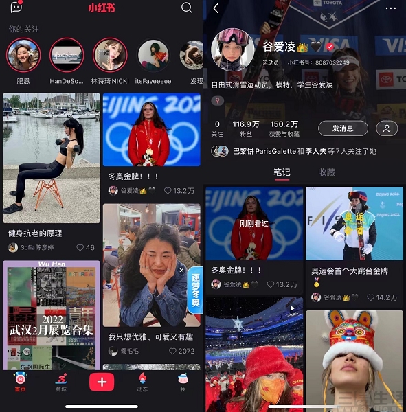 电子商务|小红书升级品牌认知时,电商平台正在努力“种草”