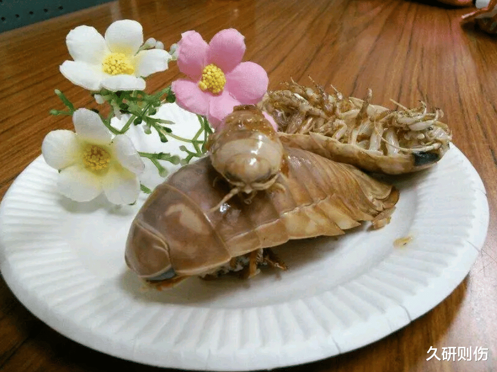 巨型尺寸的深海怪物,长得像外星生物,不吃不喝最长可以存活5年