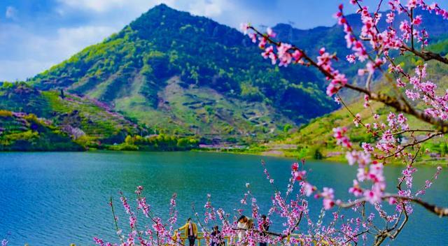 金华|浙中崛起一座桃花小镇，万亩桃林美成粉雪天堂，看完都想去玩！