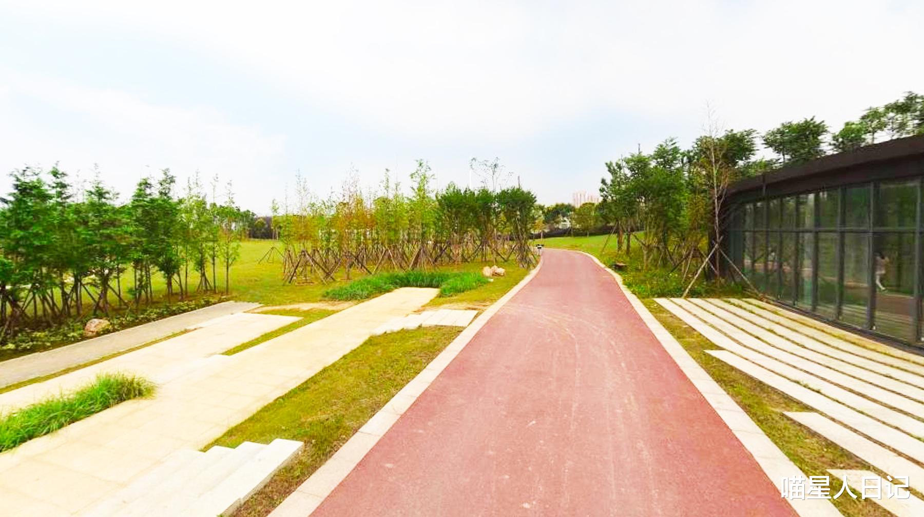 墨水湖|建在武汉郊区湖边的自然绿道,植被茂盛像公园,随处可见钓鱼人