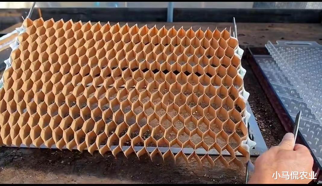 欧洲家庭农场10大播种工具，小而美效率提升50倍，小工具大智慧