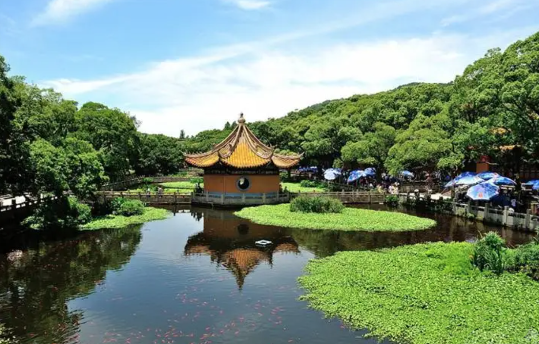 庐山|仲夏云游记 | 当神秘的“北纬30度线”穿过中国