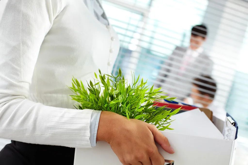 面试|面试官问,上一份工作为什么裸辞