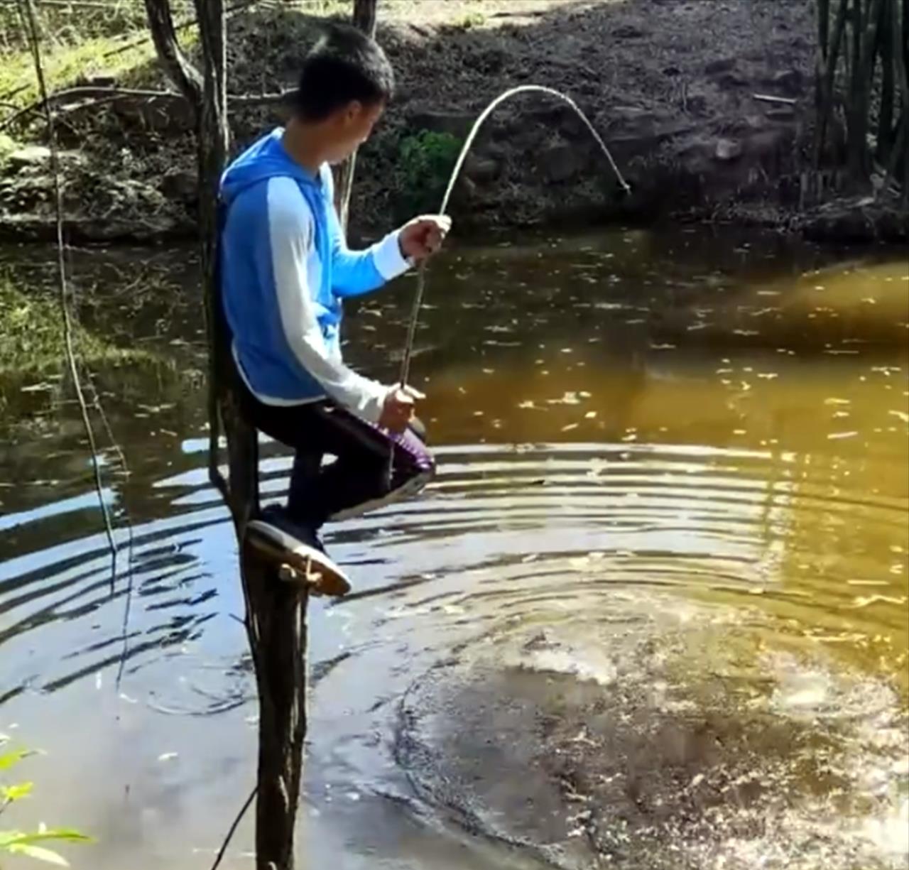 比邓刚还厉害的钓鱼,男子直接爬到水中的树上,结局出乎大家意料