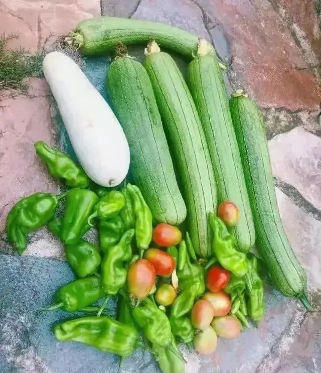 张馨予|离开李晨8年后，张馨予4000万后花园火了：终于活成了别人羡慕的模样