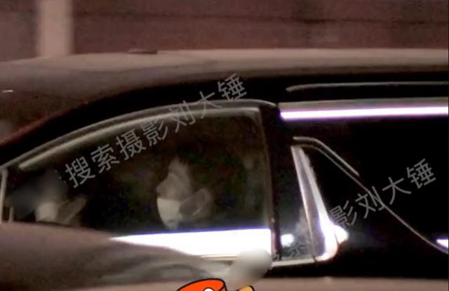 许魏洲|领证8个月，许魏洲开车接妻子，夫妻之间好甜蜜