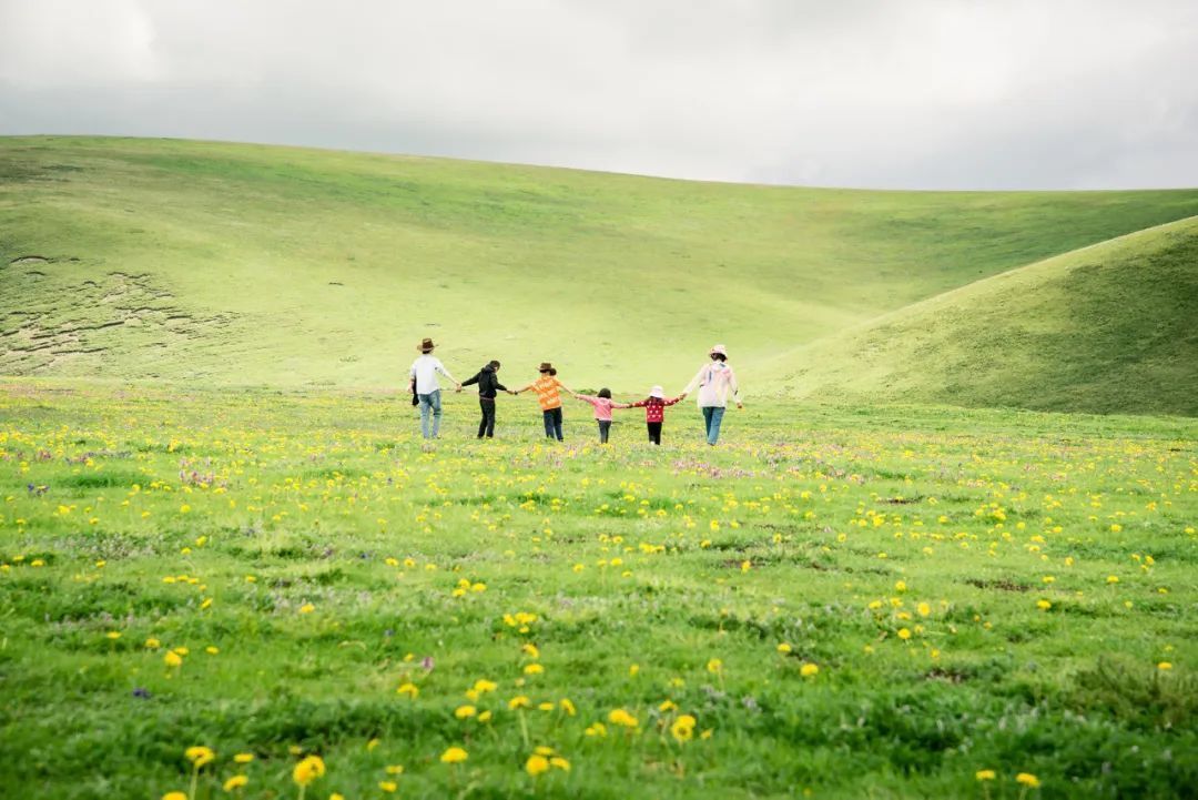 海西|色达永久封闭的第3年,重新开放!却被骂上热门:来了后悔一辈子
