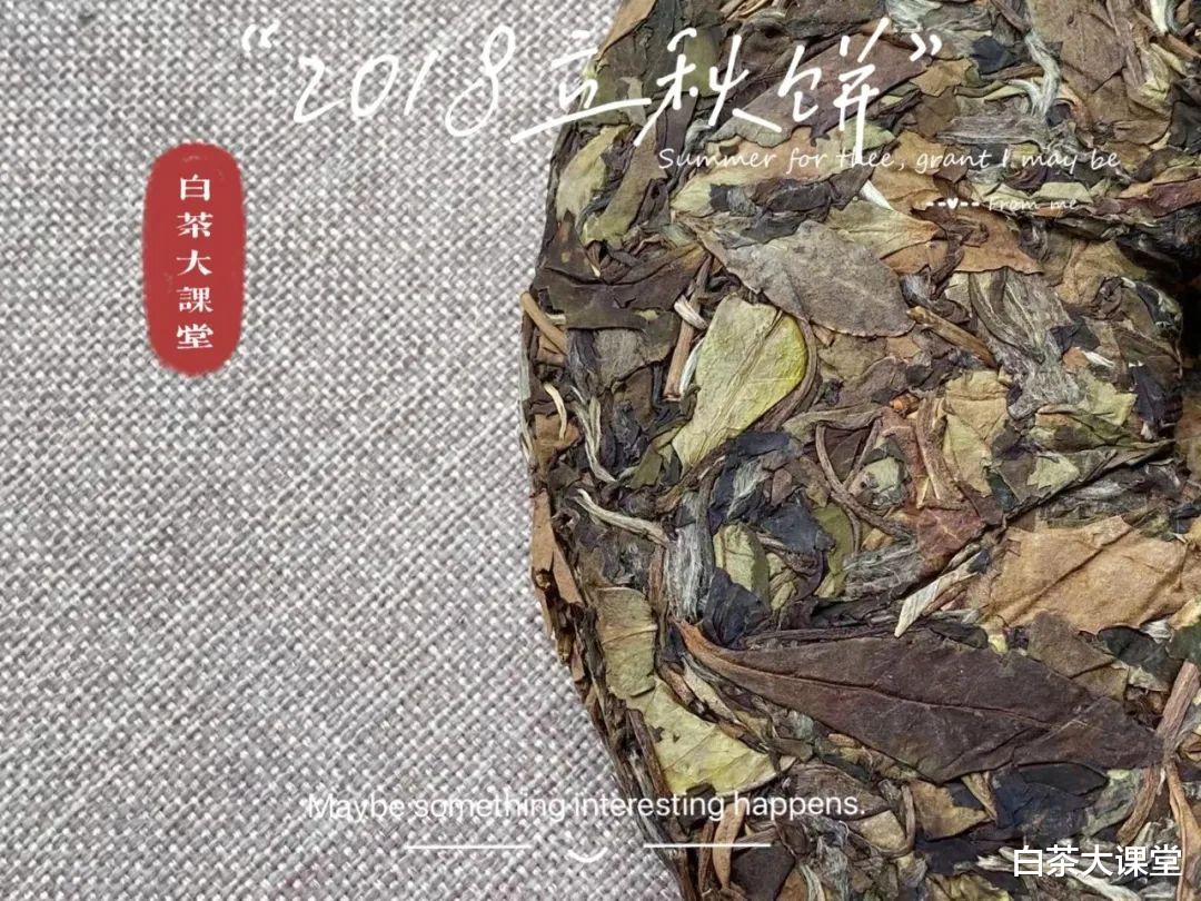 茶友来信:我的白茶饼好像发霉了,撬开后里面还能不能喝?