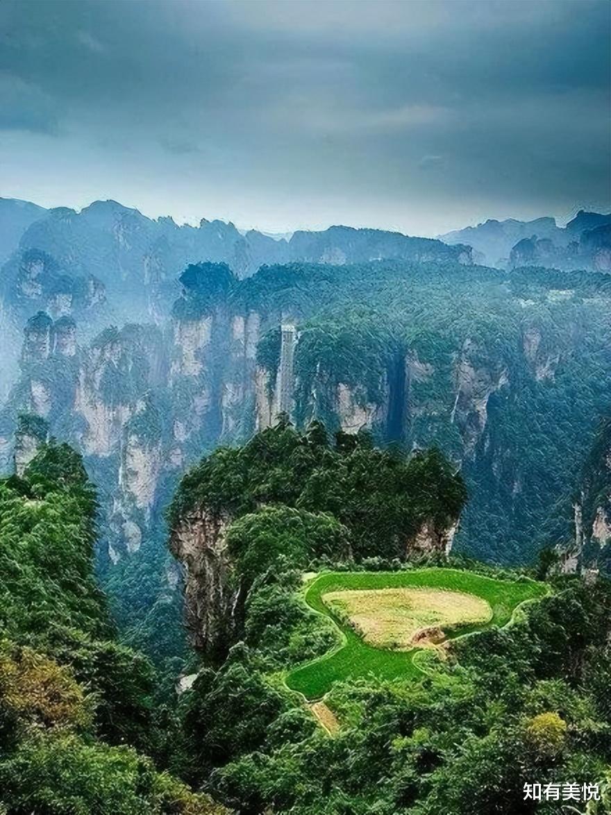国家公园|中国8大国家公园，美得惊艳！等疫情好转，就赶紧出发吧！