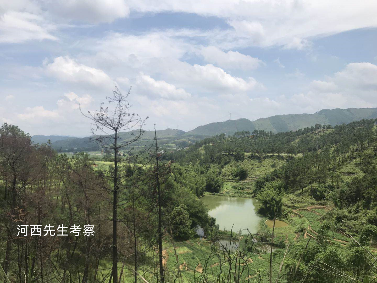 风水:牛眠地,大旺人丁!四百年,后人三四万之李氏祖坟考察分享(多图)