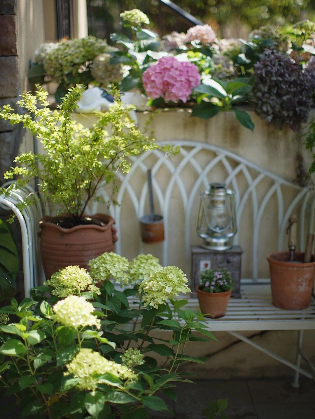 DIY造园:自己设计打造100㎡花园,不需要花太多钱,但充满成就感