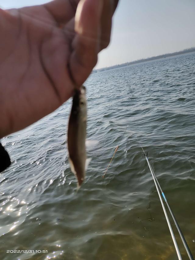 |大风大浪坚持浪,守得云开见月明