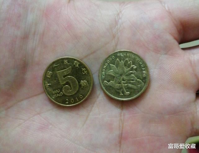荷花|流通中的“荷花五角”硬币，有收藏价值吗？