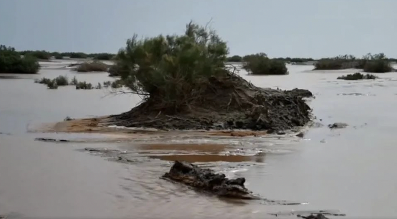 塔克拉玛干沙漠|“旱极”变湖泊，塔克拉玛干沙漠将变绿洲？洪水爆发堪比50个西湖