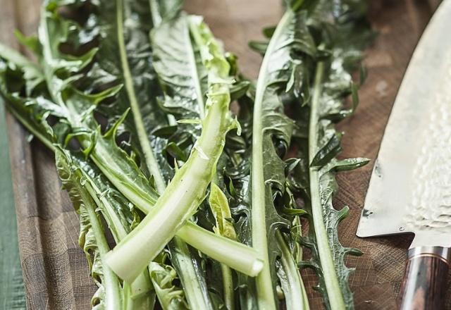 医生|女人乳腺增生太“黏人”?常用“1叶”泡水,止痛化结防病变!