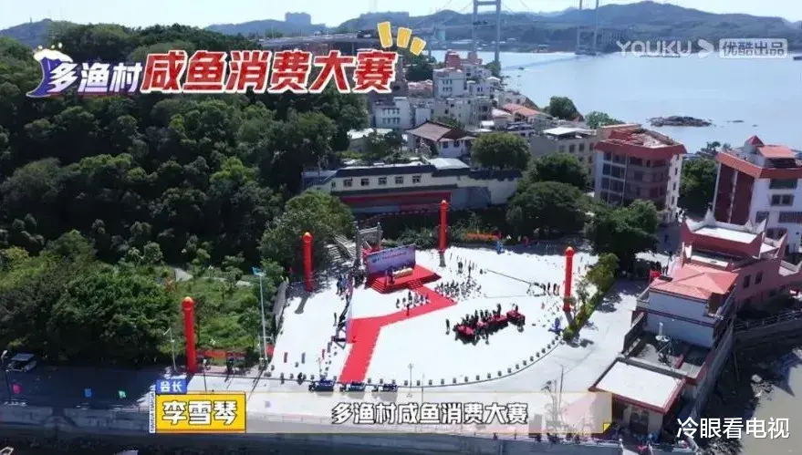 红花郎|周末综艺指南 |《最强大脑9》《超有趣滑雪大会》开播;《中国潮音》总决赛