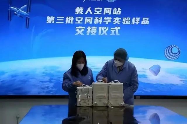 水稻、拟南芥、蔓越莓,神舟十四号为啥带它们回来?各有各的用处