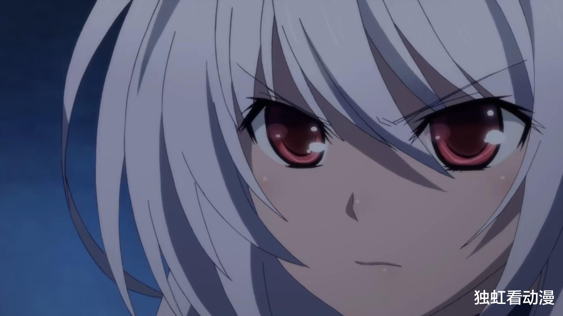 路飞|动漫里那些女友力很强的女主，你认识几个？说出你看好的那一个吧