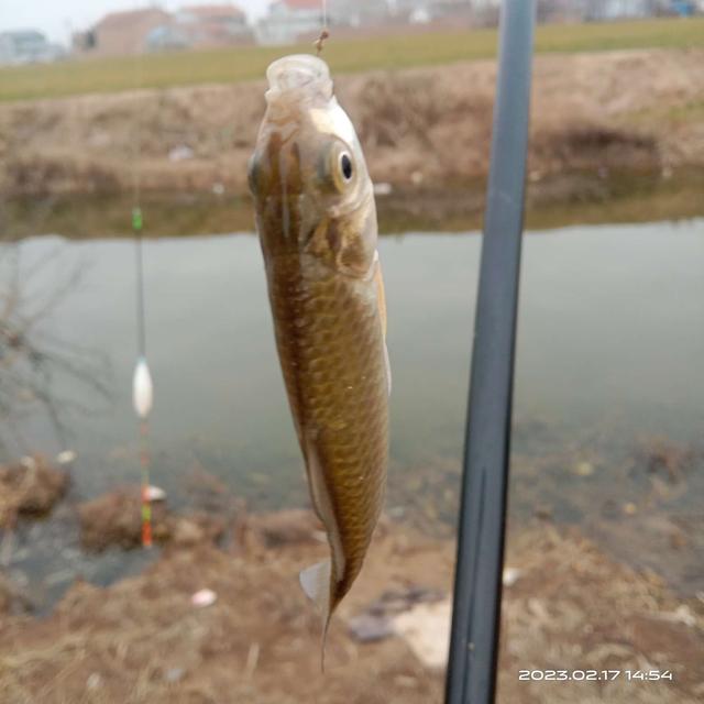 |初春野钓：钓深钓浅要灵活，这样钓渔获很理想