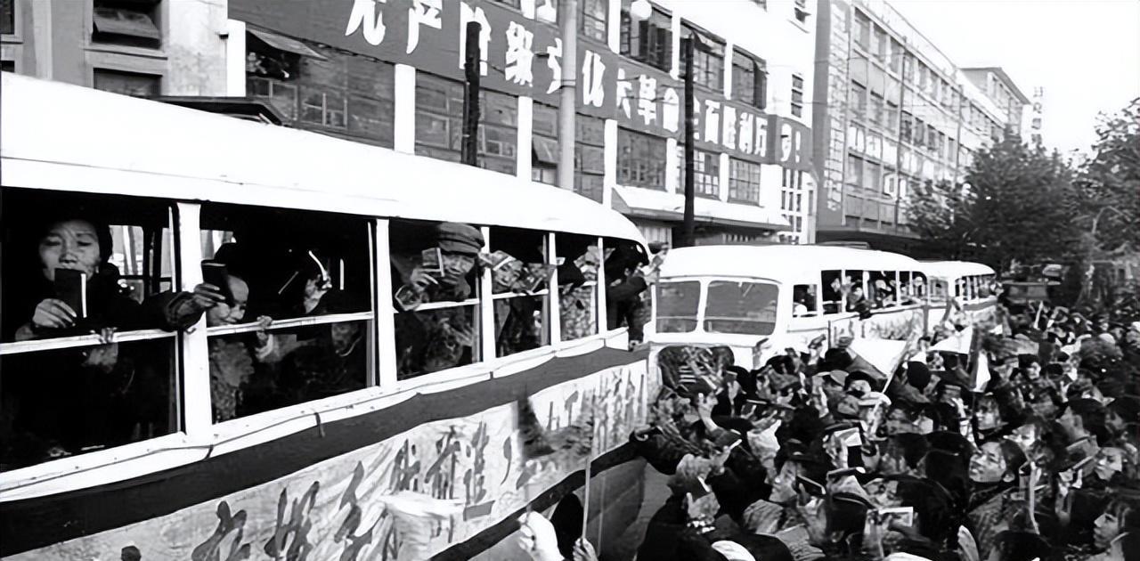 1973年,一男子从猛兽口中救下猴群,猴群舍命报恩