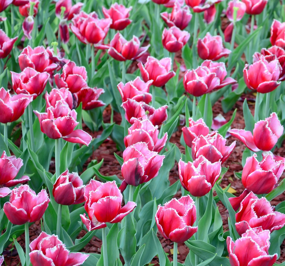 普通50多岁的家庭,该怎样节约?