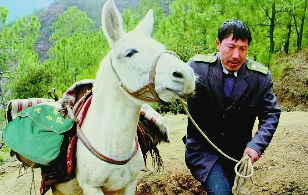 中国最硬核快递公司，却被质疑要倒闭，中国邮政实力到底如何？