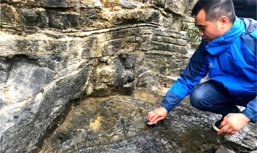 贵州发现古生物化石群,展现“龙”的样貌,龙宫真的有龙?