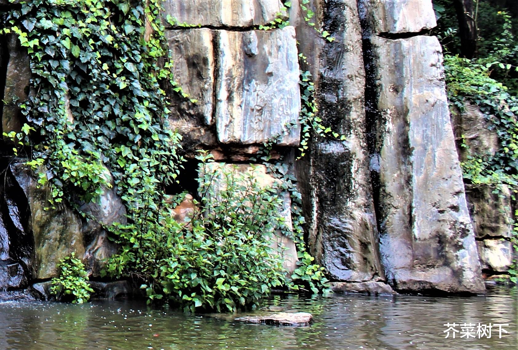 网易|社交是工作需要，没让你交心