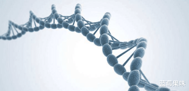为什么蝙蝠那么“毒”?科学家:可能是为了飞行做出的主动选择