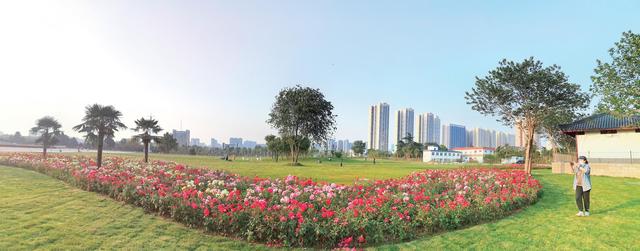 毕业旅行|大美南阳摄影大赛|城市如画日日新