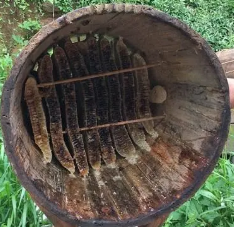 |养儿防老，没了儿，大爷老年生活却让众人羡慕，村有一老如有一宝