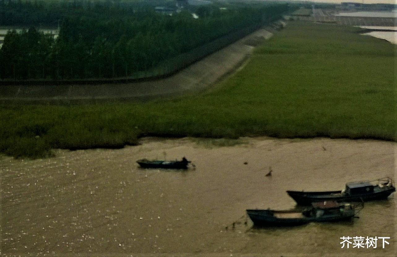 职场故事|行走职场，控制好我的控制欲