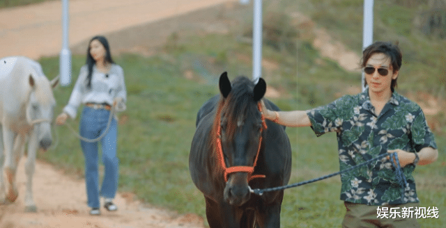 央视|《桃花坞》宋丹丹离开,李雪琴躺平,吴牧野一句不装了捅破窗户纸