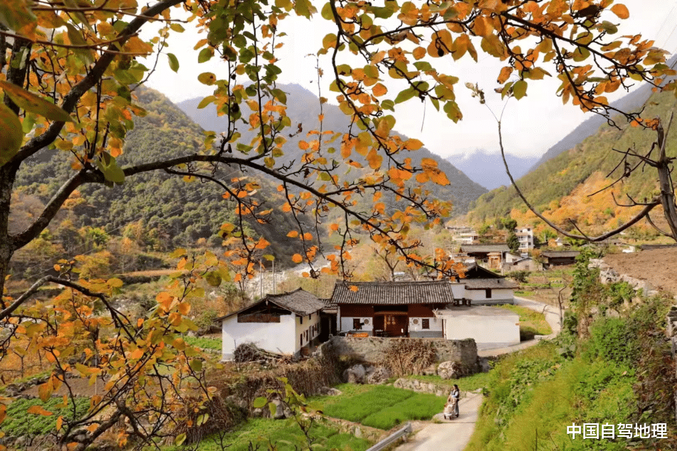 露营|最具人气的旅游大省，这个“本命年”太难了！