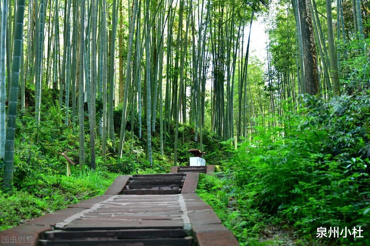 蜀南竹海|中国最壮观的竹海，翠甲天下的绿竹公园，你知道是哪里吗？
