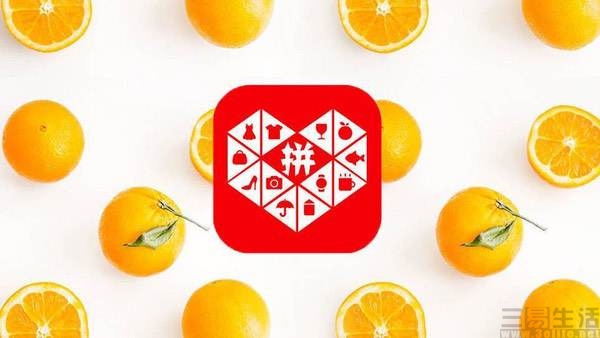 电子商务|小红书升级品牌认知时,电商平台正在努力“种草”