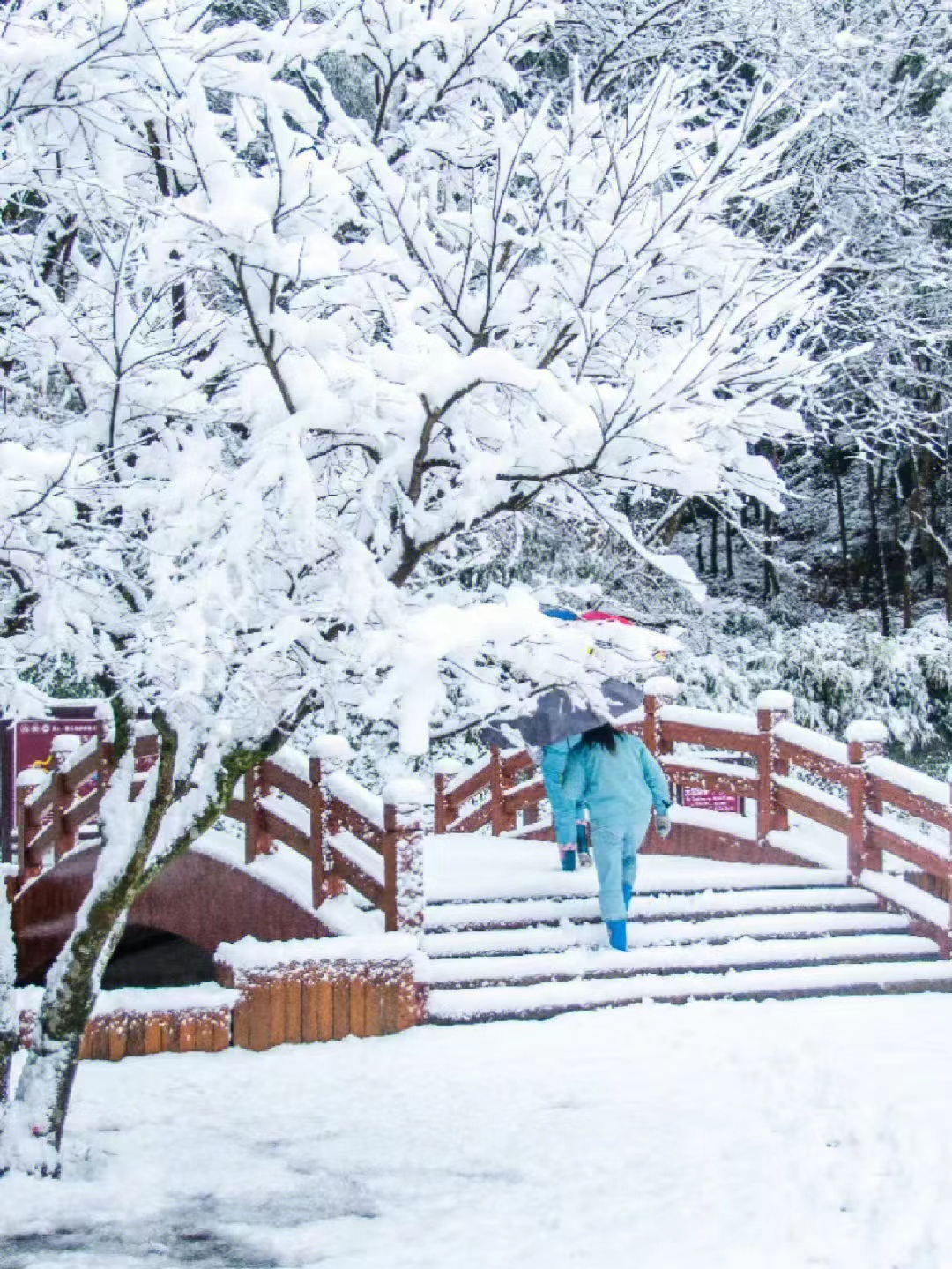 |宁波下周又将出现零下温度,相约去四明山看绝美雪景!